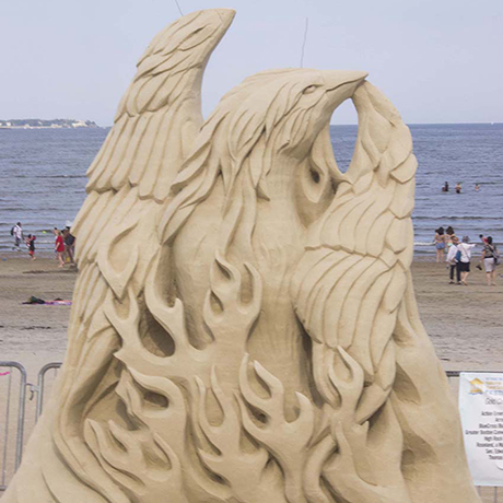 An application scenario or product detail of sculptured beach - Image 18