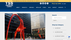 Tampa Steel - Iconic Sculptures