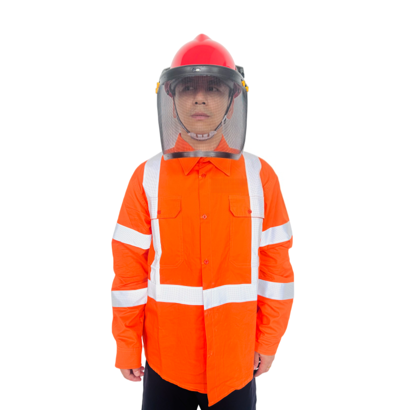 safety helmet with face shield